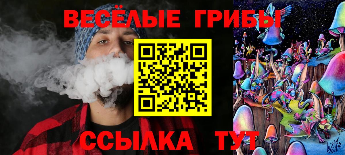 купить   Вход с VPN  Петрозаводск  Галлюциногенные грибы Psilocybe 